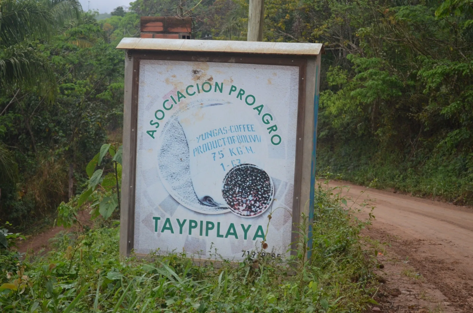 86  Find: Bernardino Aliaga -Taipiplaya (Bolivia) Microlot Roast, NEW FARMER!