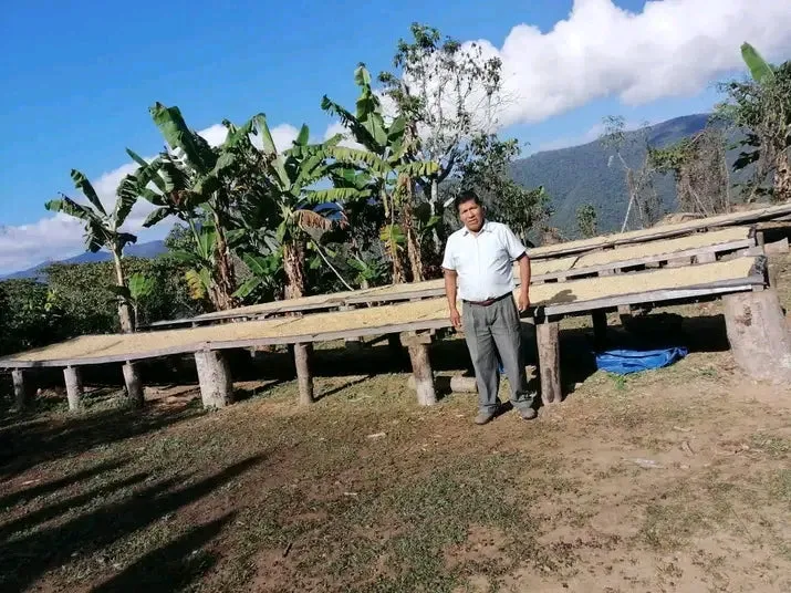 86  Find: Bernardino Aliaga -Taipiplaya (Bolivia) Microlot Roast, NEW FARMER!