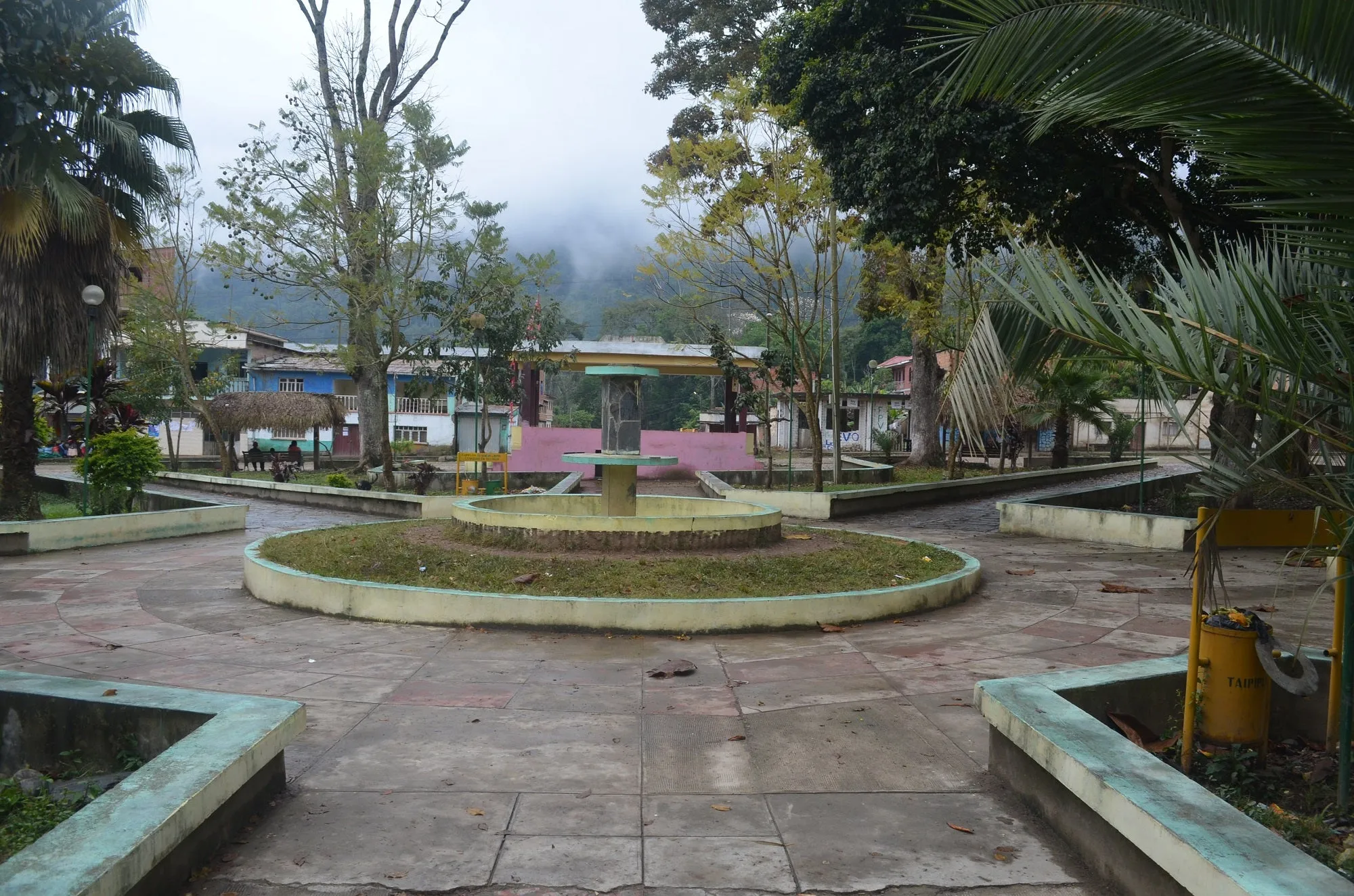 86  Find: Bernardino Aliaga -Taipiplaya (Bolivia) Microlot Roast, NEW FARMER!