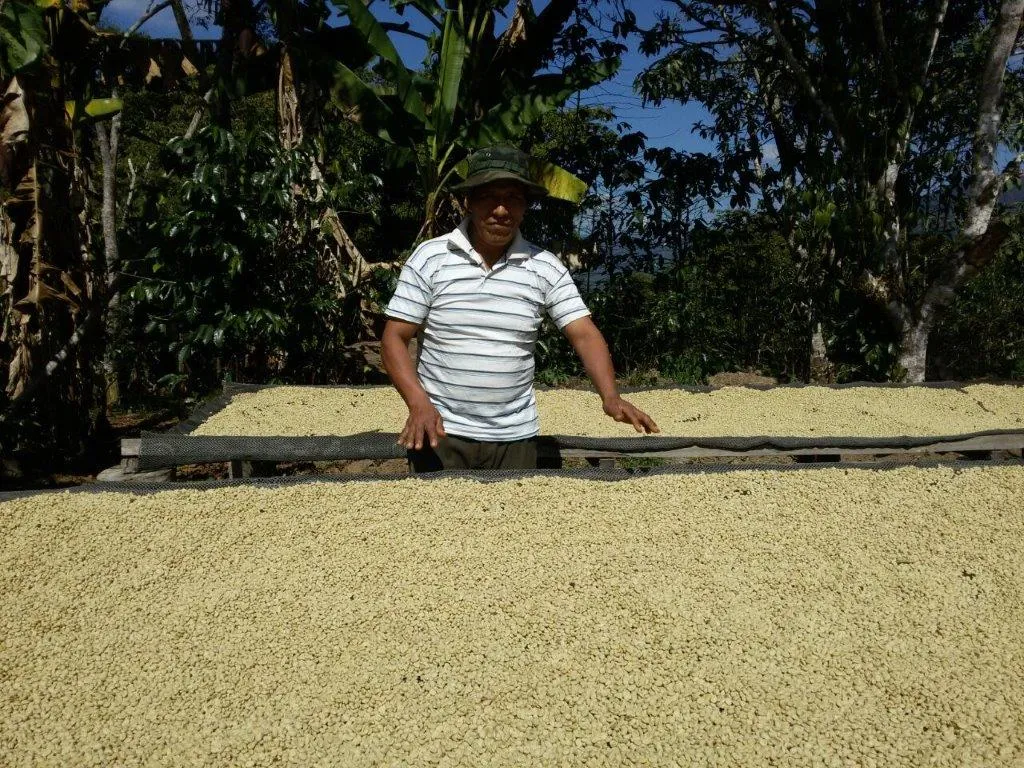 86  Find: Bernardino Aliaga -Taipiplaya (Bolivia) Microlot Roast, NEW FARMER!