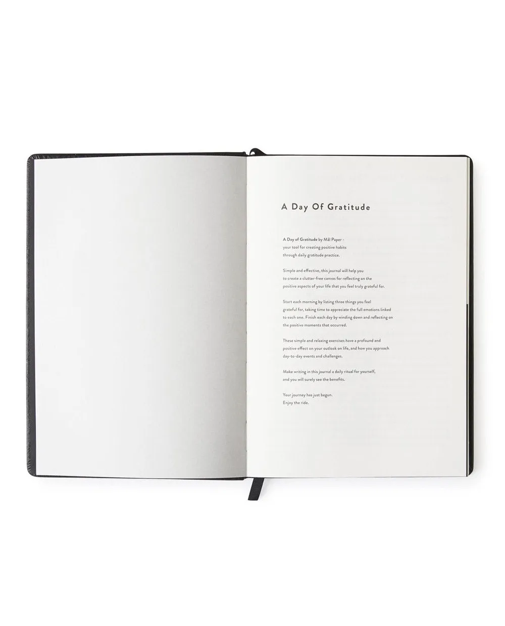 A Day of Gratitude Journal