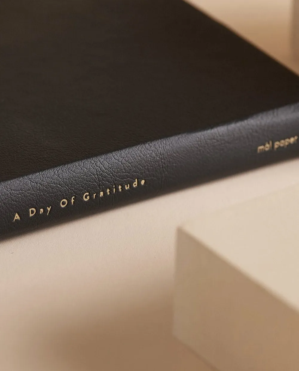 A Day of Gratitude Journal