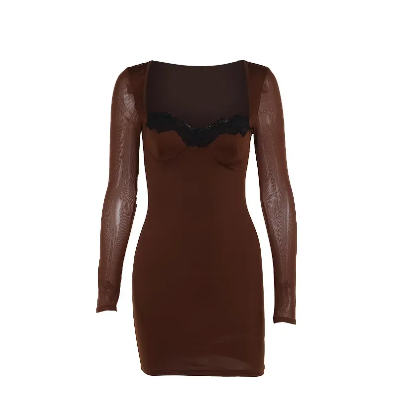 Astra Sheer Long Sleeve Lace Trim Bodycon Mini Dress
