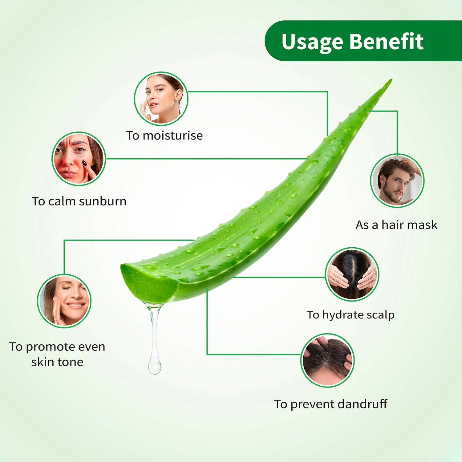 Ayouthveda Aloe Vera Gel for Face, Hair & Body (Net Qty- 150g)