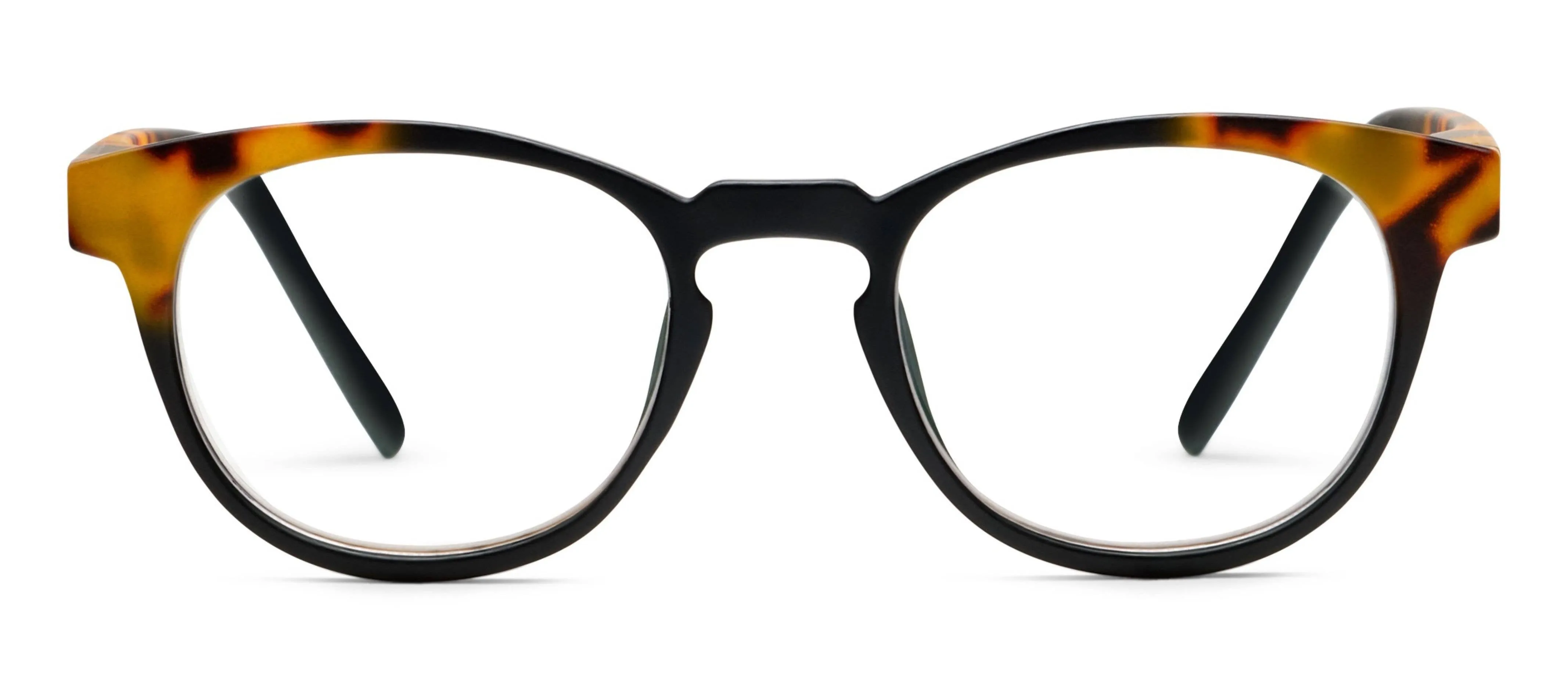 Chester (Blue Light): Black/Tokyo Tortoise / Reading / 1.75