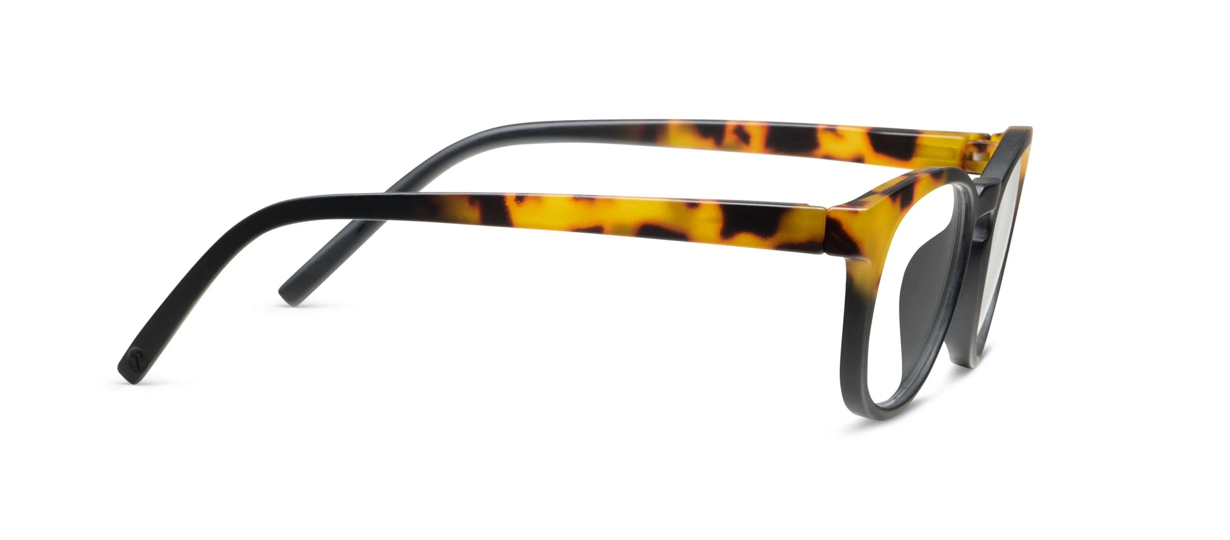 Chester (Blue Light): Black/Tokyo Tortoise / Reading / 1.75