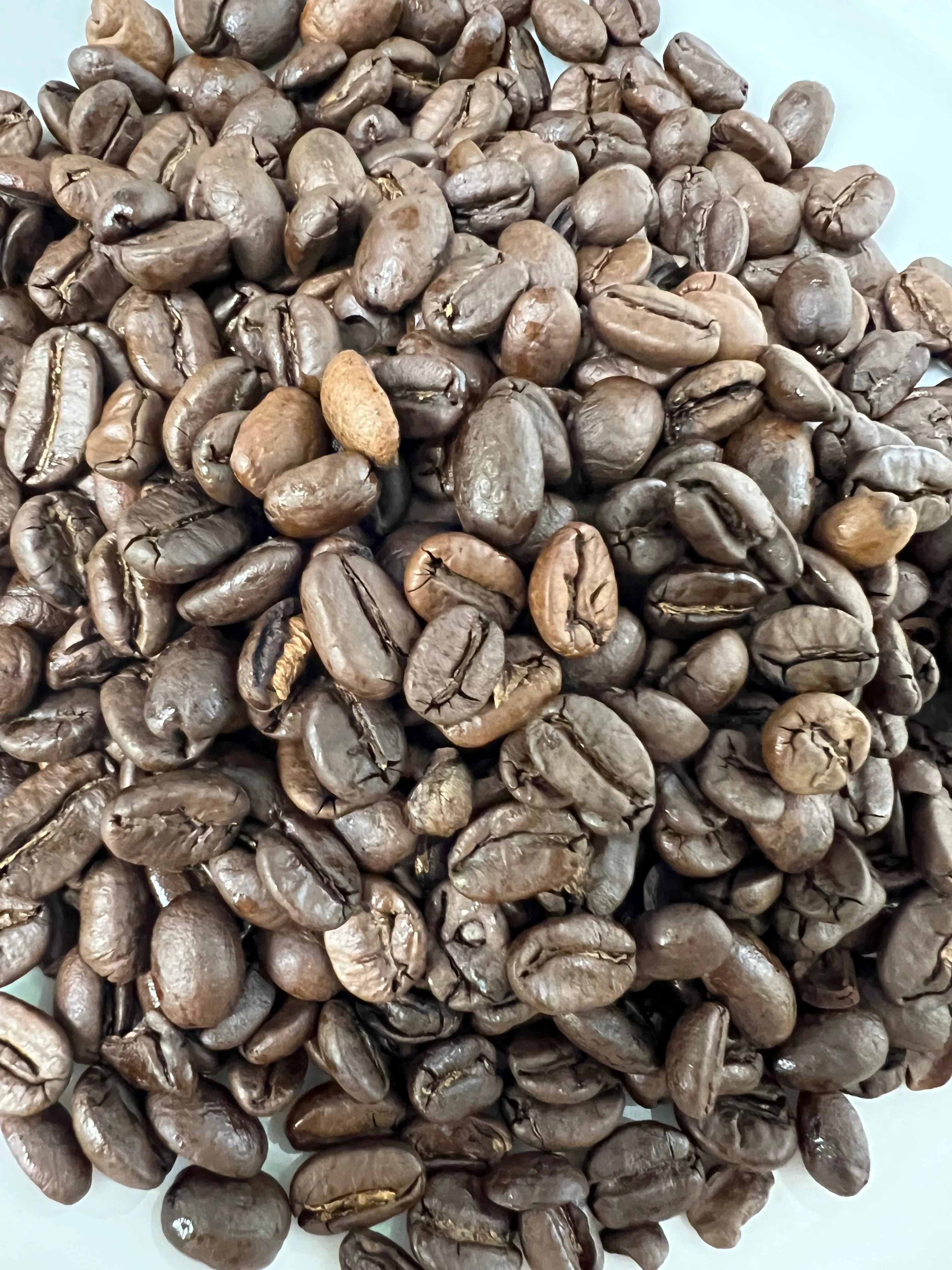 Continental Blend Roasted Coffee
