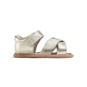 CRISS-CROSS Gold