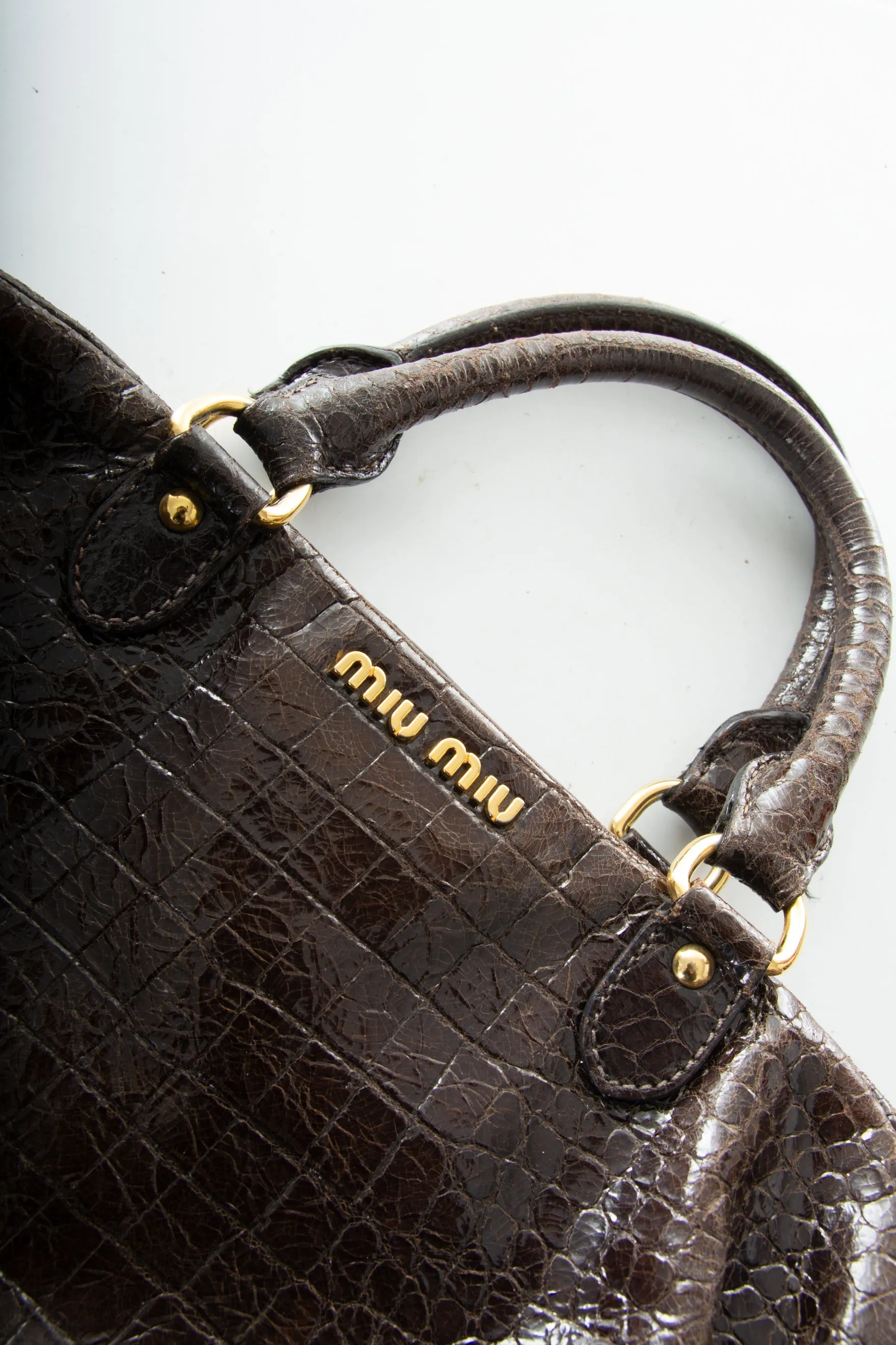 Croc Handbag