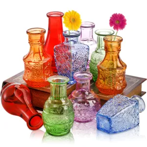 DEAYOU 10-Pack Glass Bud Vases, Small Clear Flower Vase for Centerpiece, Mini Vintage Flower Bottle, Colorful Living Single Bud Vases, Petite Table Floral Vases for Plants, Home Wedding Decor, Gift
