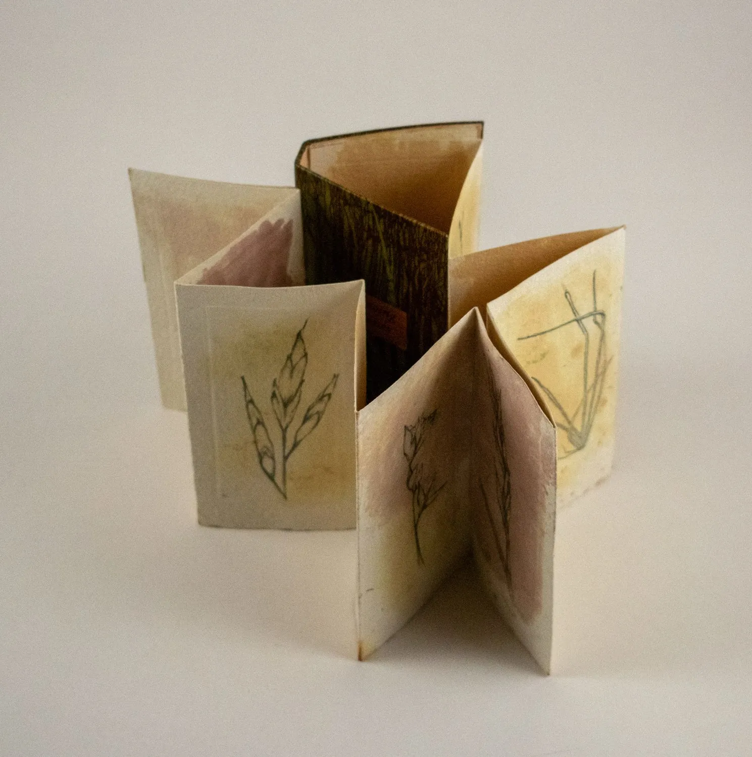Drawing Grasses by Alicia Bailey