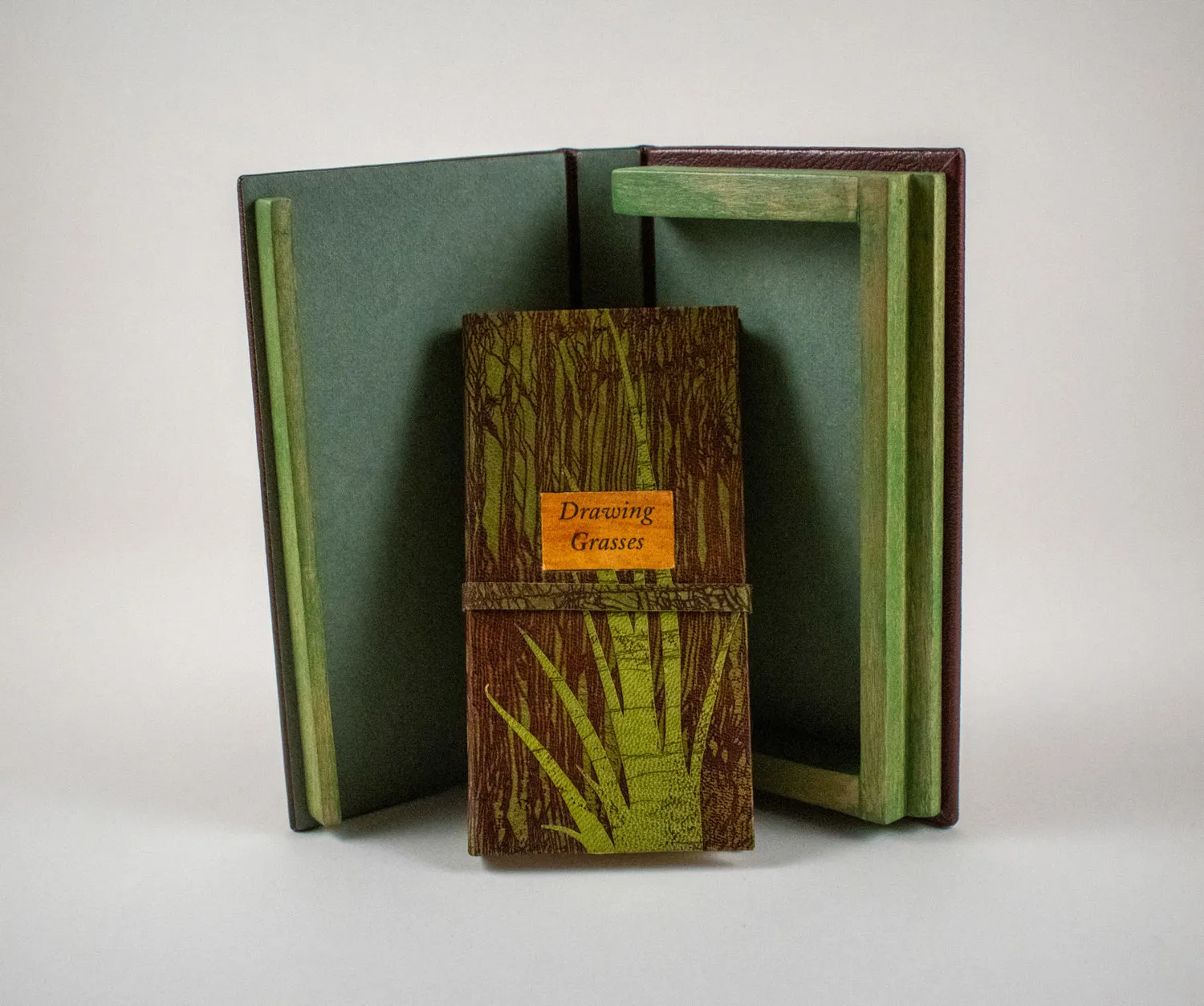 Drawing Grasses by Alicia Bailey