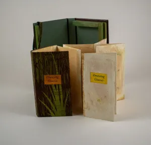 Drawing Grasses by Alicia Bailey