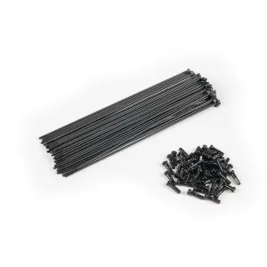 Eclat PG Spokes