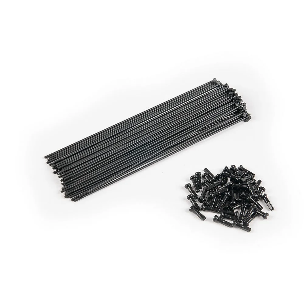 Eclat PG Spokes