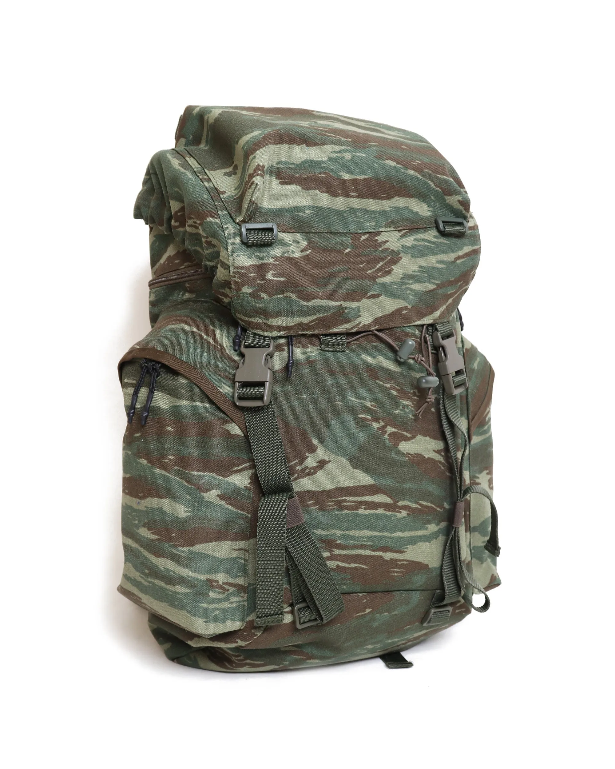 H110 35L Daysack - Greek Lizard