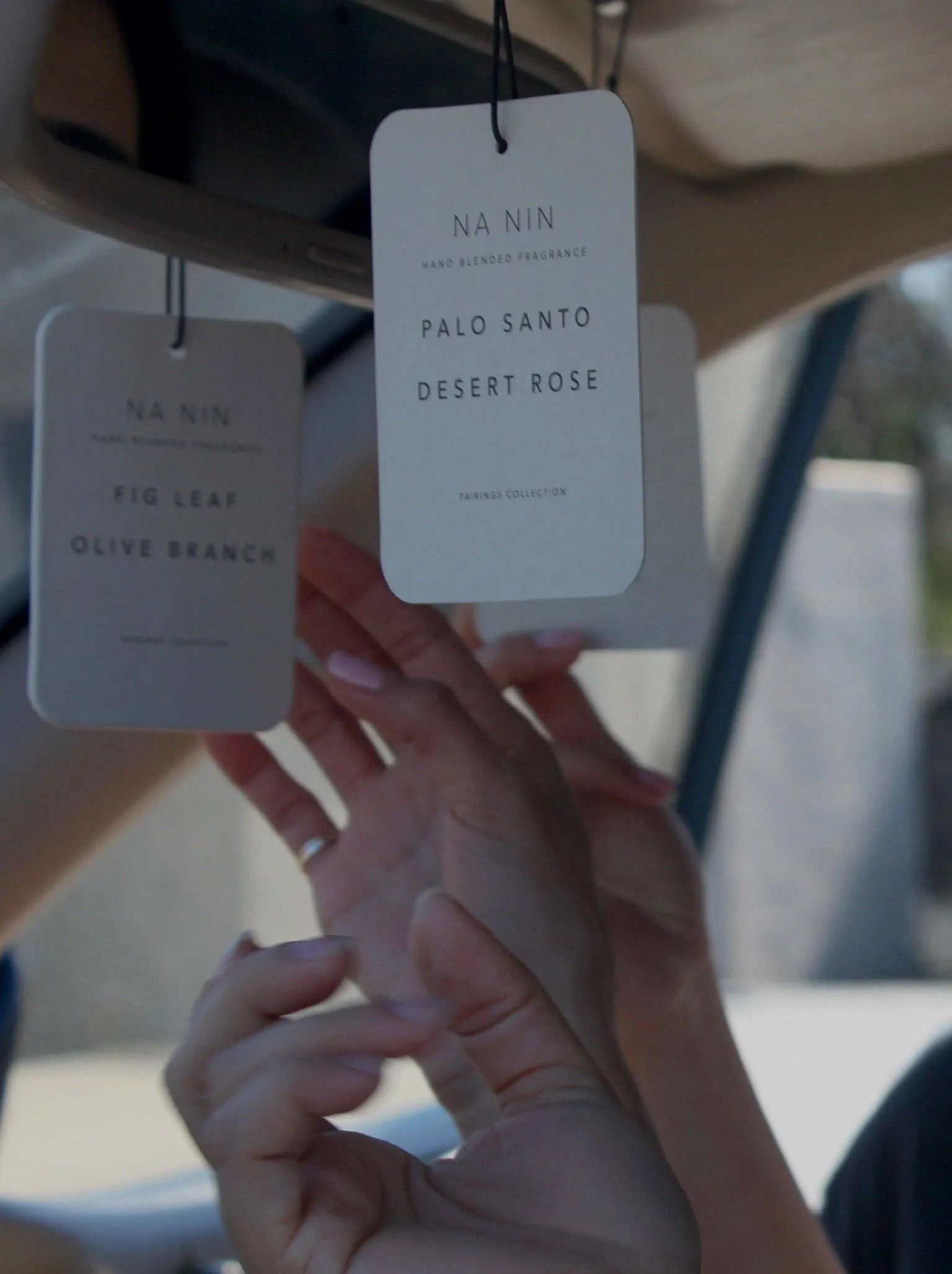 Na Nin | Palo Santo & Desert Rose Air Freshener