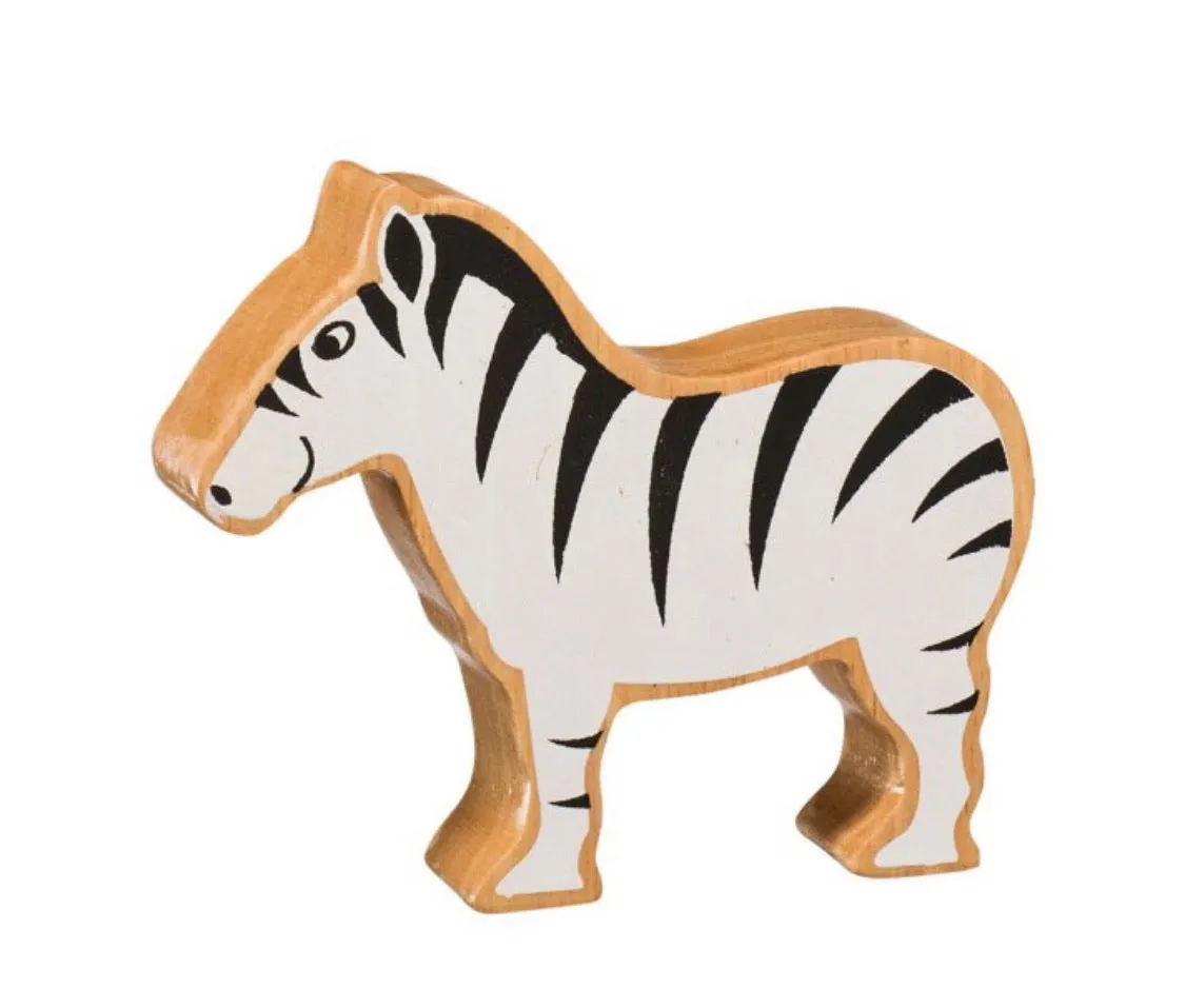 Natural black & white zebra