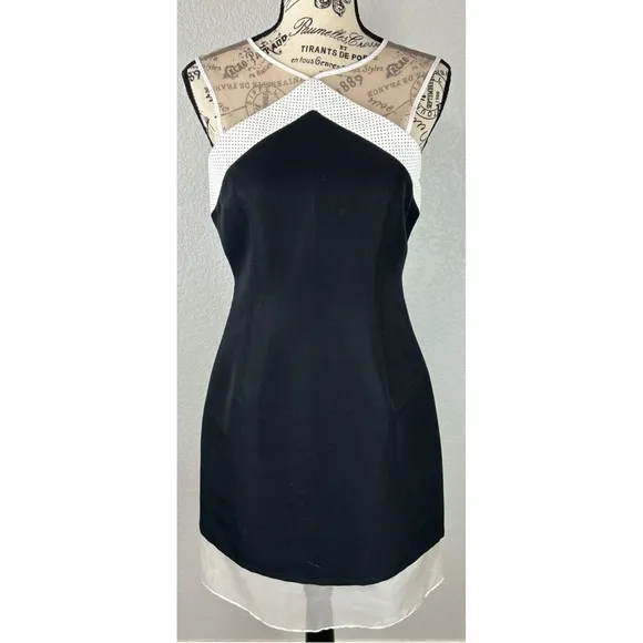 NWT Wai Ming LBD Sophie Dress Silk with Mesh and Leather Trim, size Medium