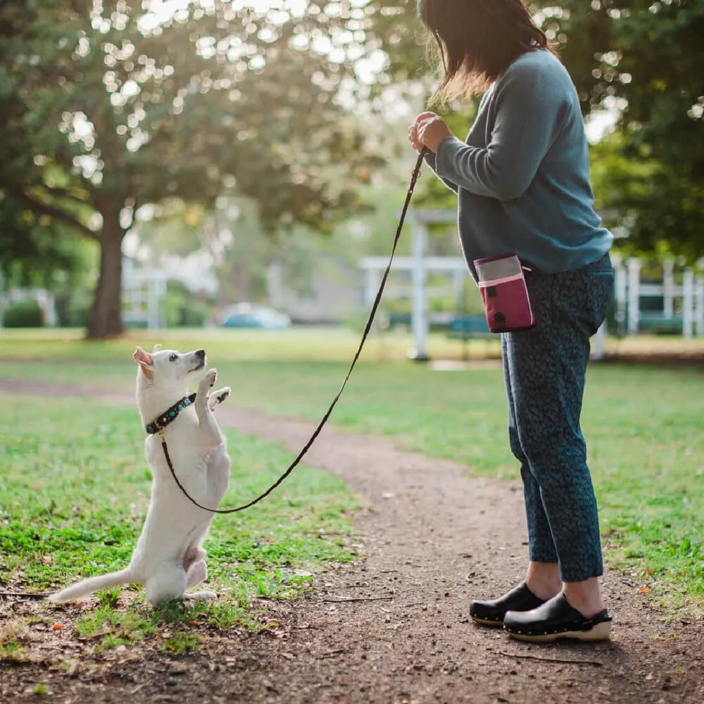 Scout & About Deluxe Training Pouch | Wildflower