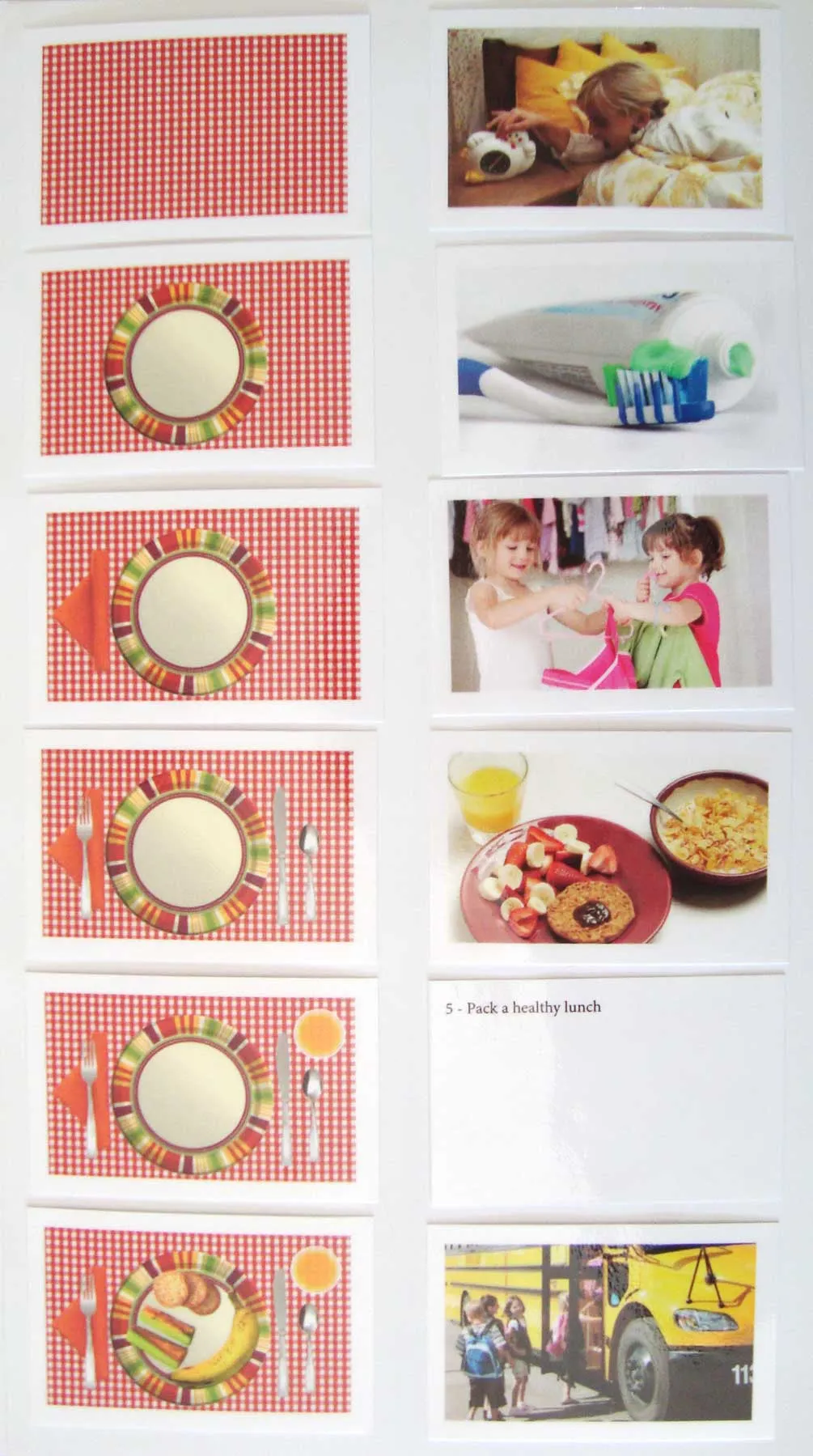 Stages of Development Set B
