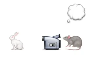 SUC Archive: SUC Rabbit and Rat Clip Art, 2015