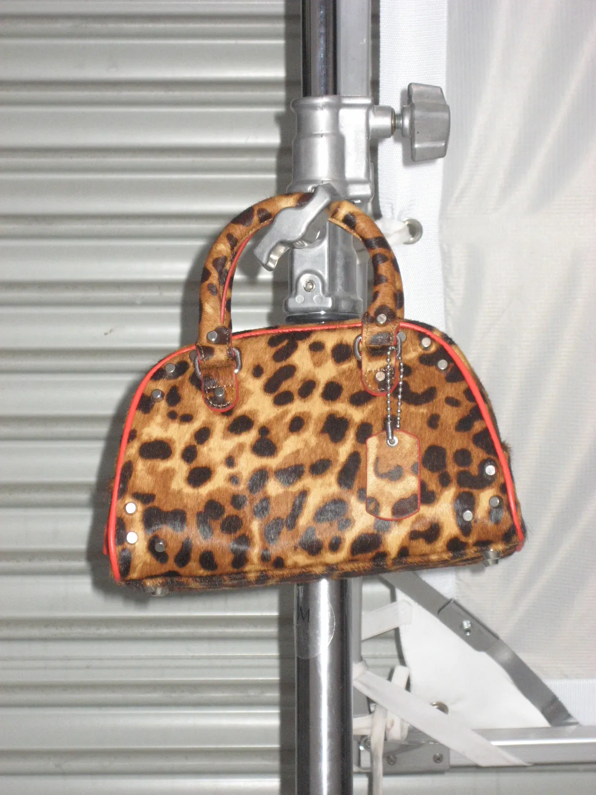 THE GAMBLER | LEOPARD