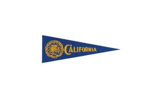 Vintage University of California Felt Flag