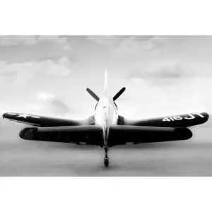 Vought F4U Corsair 1 Steven Greenwald Print