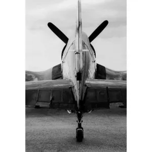 Vought F4U Corsair 2 Steven Greenwald Print
